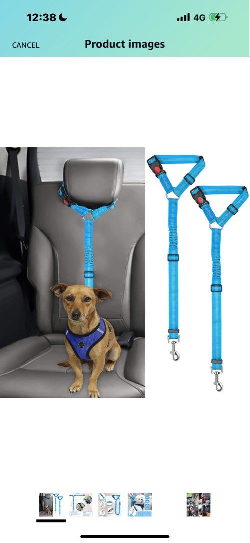 Headrest dog car store safety seat belt