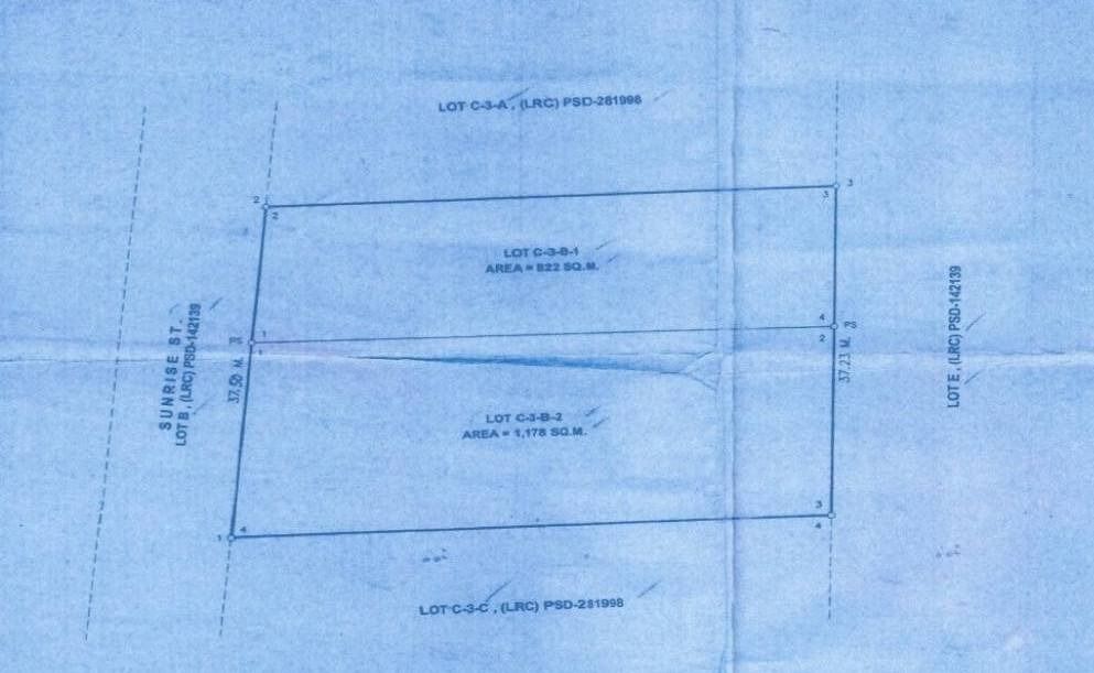 Commercial Lot for Sale in Sunrise St. NAIA Road, Barangay Tambo