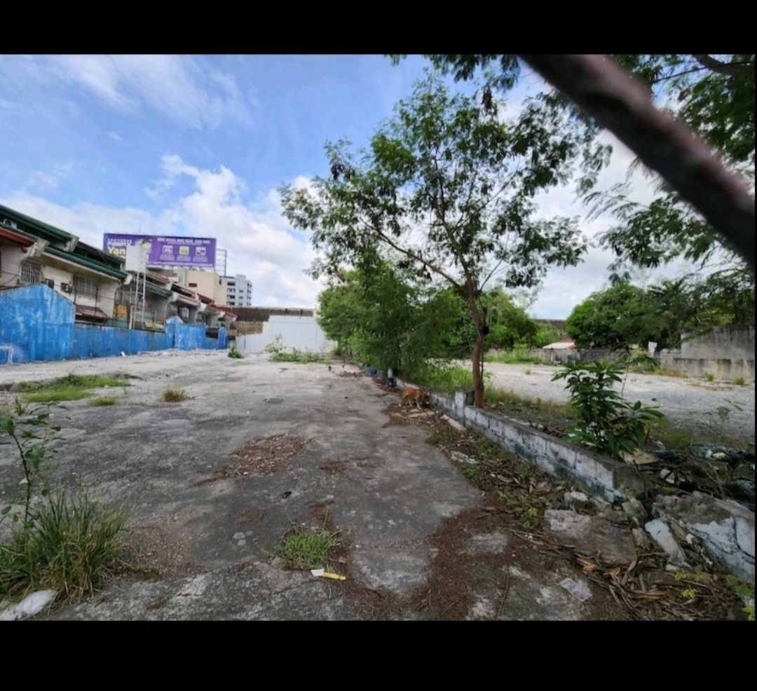 Commercial Lot for Sale in Sunrise St. NAIA Road, Barangay Tambo, Paranaque City, Property, For