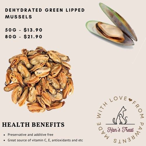 Dehydrated green discount lipped mussels