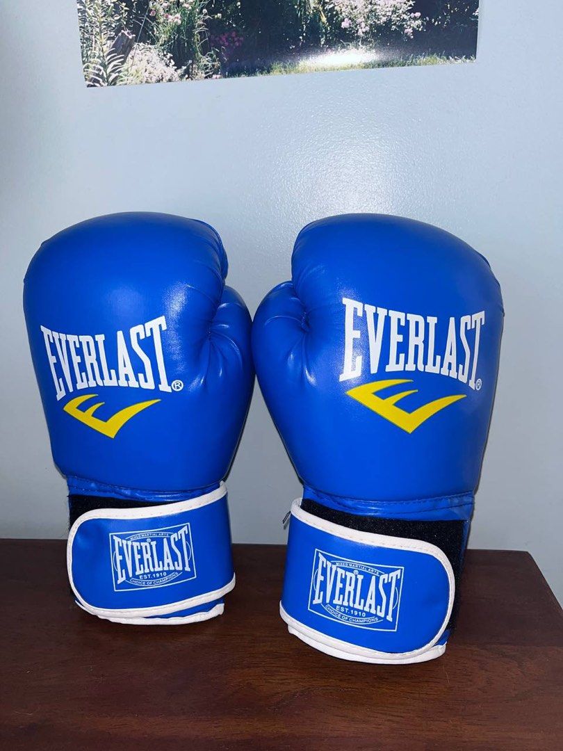 Everlast 12 ounce boxing gloves Sports Equipment Sports Games