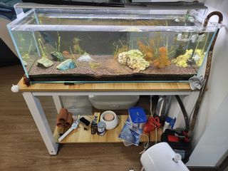 (Category: ) located in . Submitted by jeslin_ong (Listing ID 1245062994, Image 1). Description: .