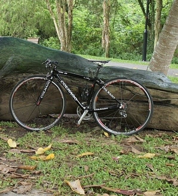 Flat Bar Colnago