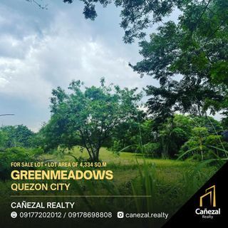 Green Meadows Agricultural Land, Quezon City For Sale