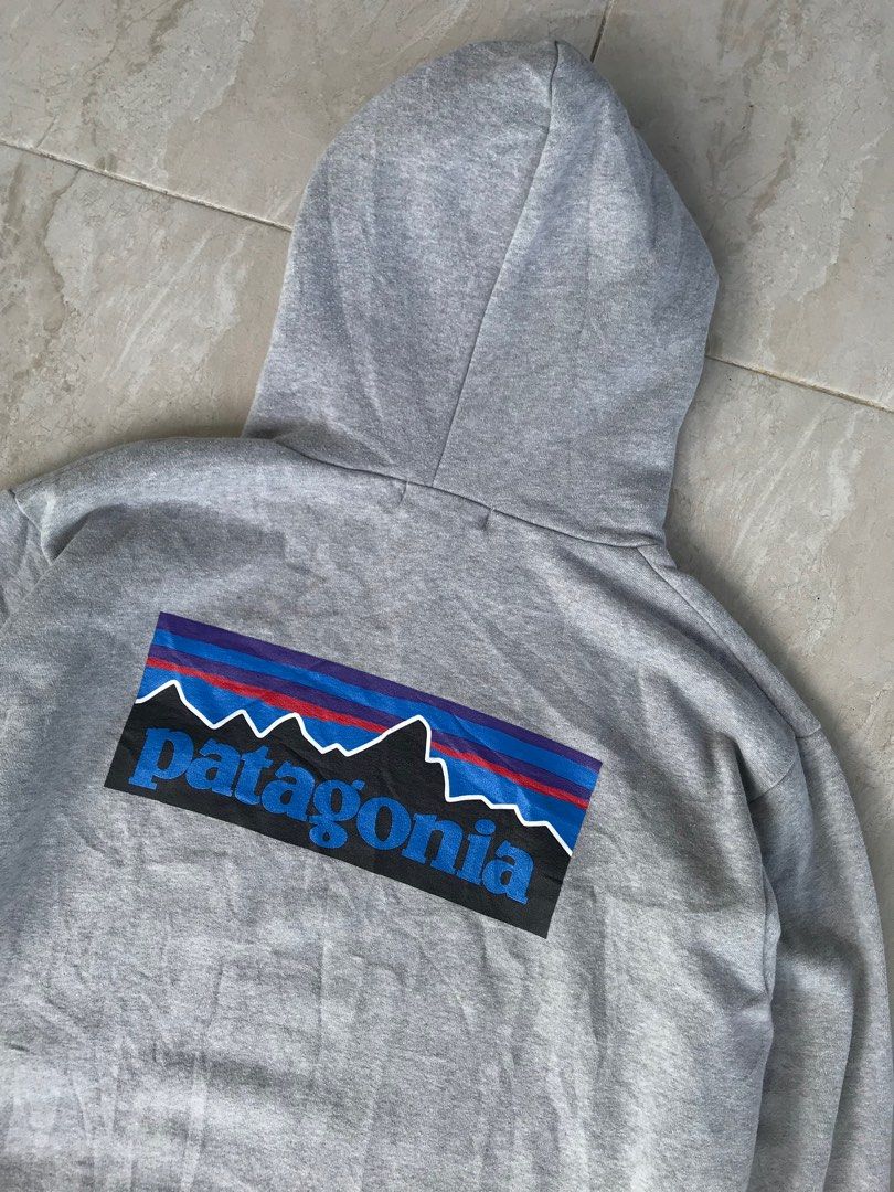 Hoodie patagonia online