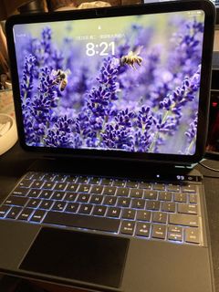 （分類：）位於 。 由 colorbees 提交（商品編號 1245168018，圖片 1）。簡介： 。