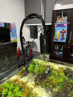 (Category: ) located in . Submitted by lemon_avocado (Listing ID 1245194362, Image 1). Description: .