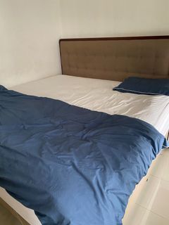 KING KOIL bed natural response full set 200 x 200