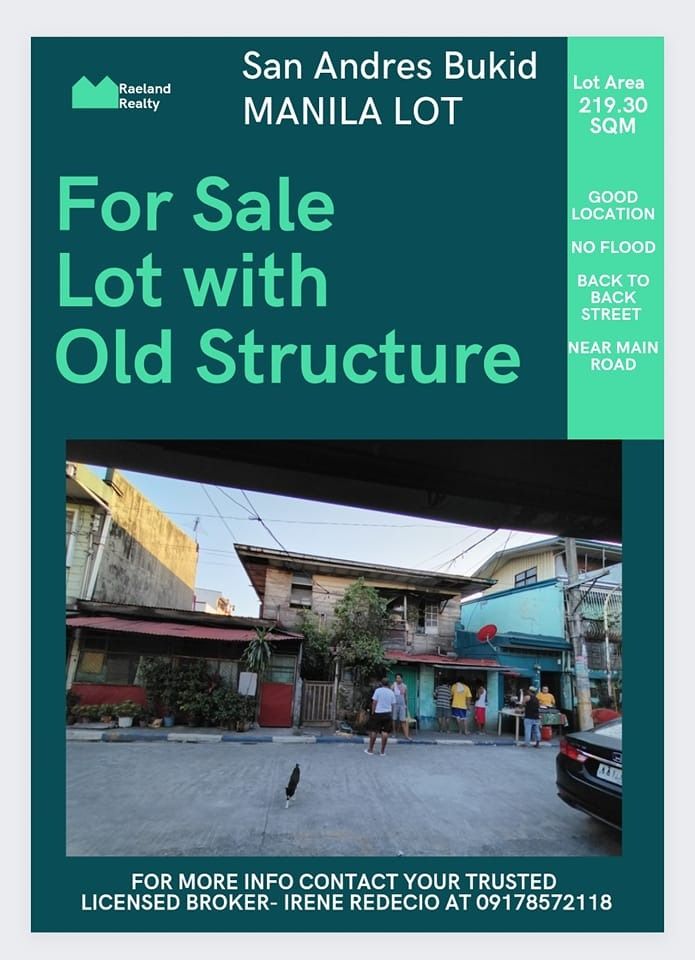 Lot for sale with old structure in San Andres Bukid MAnila, Property