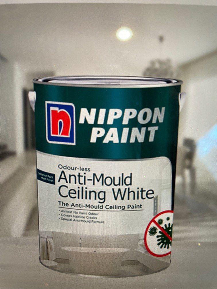 Nippon Paint Anti Mould, Furniture & Home Living, Home Decor, Other