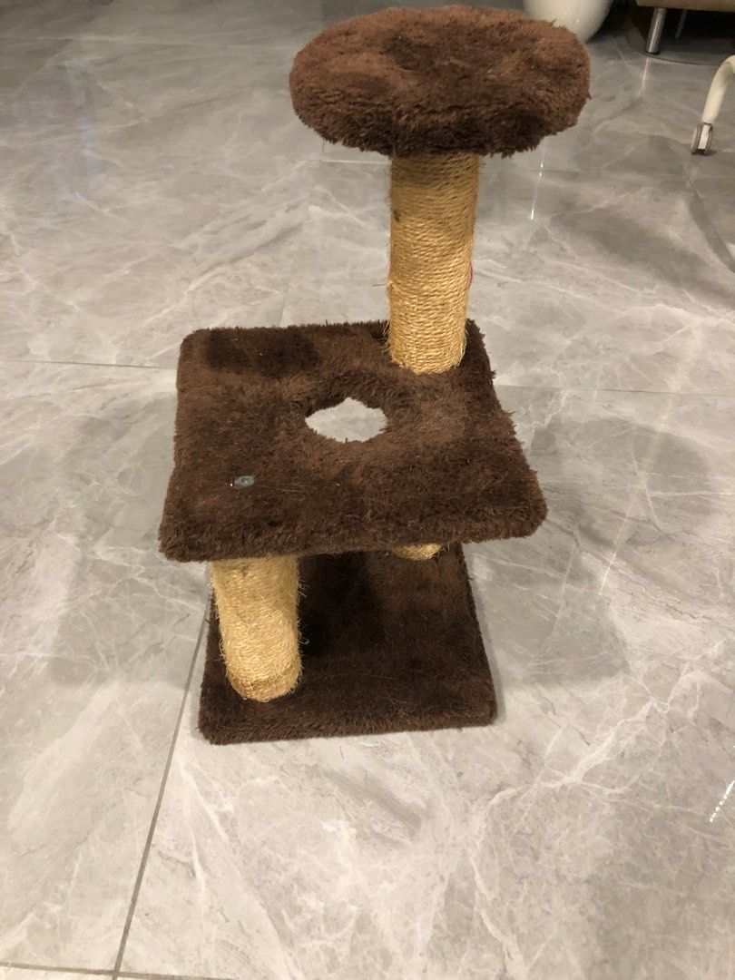 Small cat tree for kittens, Pet Supplies, Homes & Other Pet Accessories