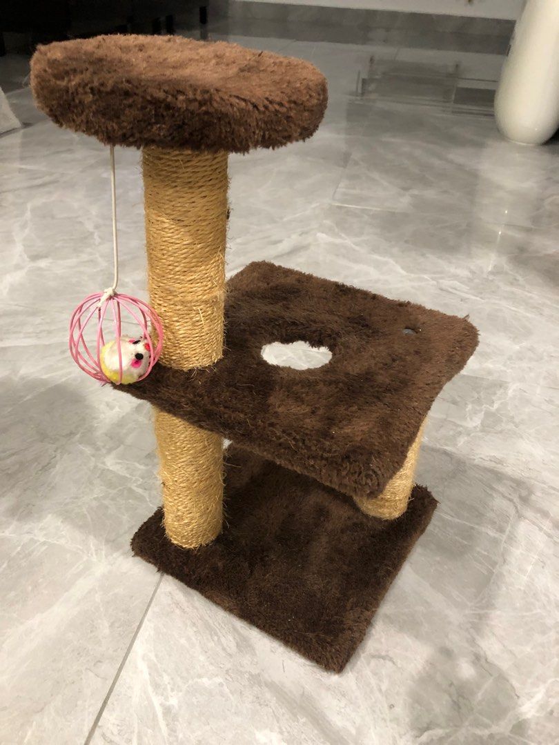 Small cat tree for kittens, Pet Supplies, Homes & Other Pet Accessories