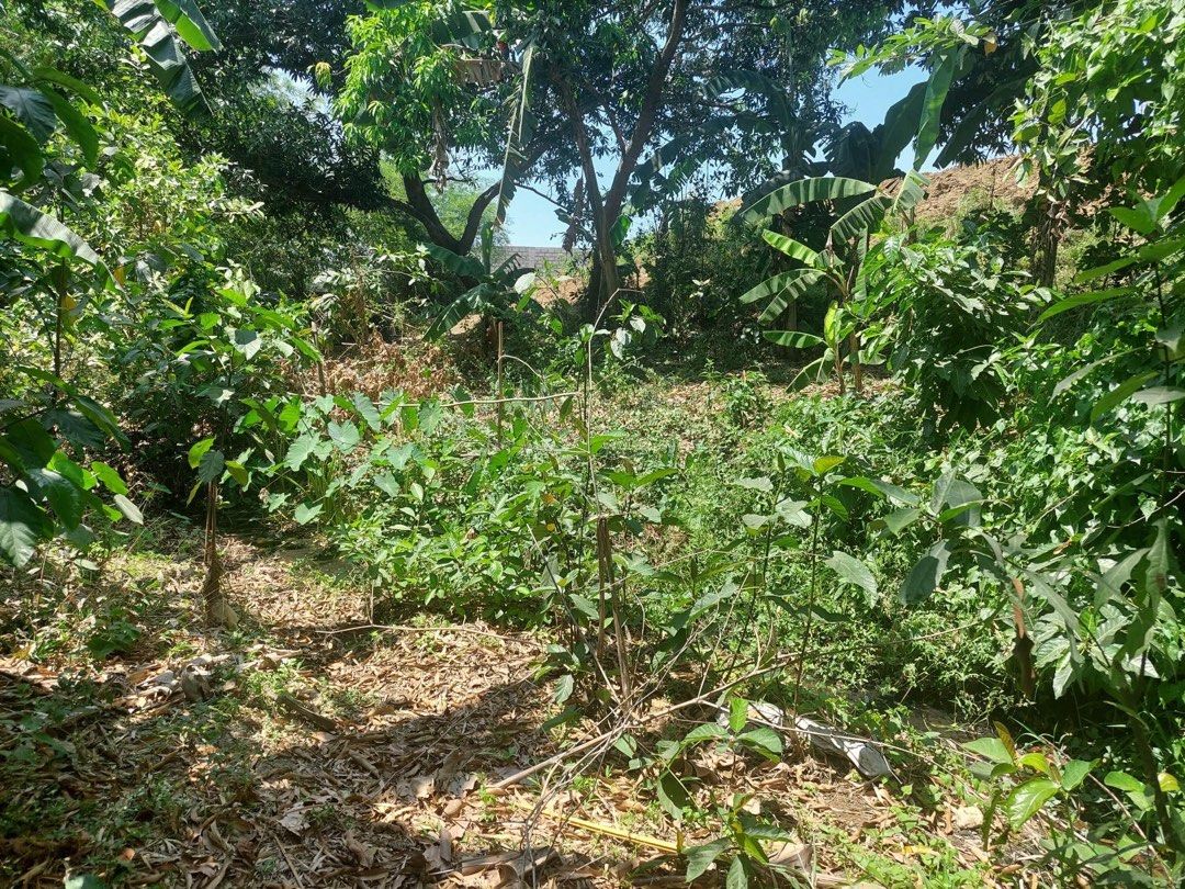 Sta Maria Bulacan Lot for sale 3000 sqm on Carousell