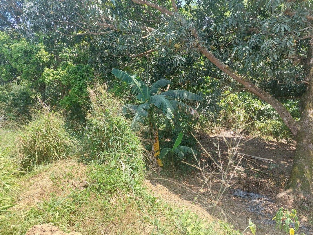 Sta Maria Bulacan Lot for sale 3000 sqm on Carousell