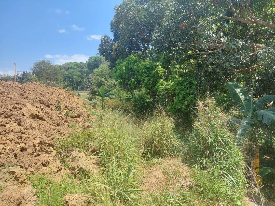Sta Maria Bulacan Lot for sale 3000 sqm on Carousell