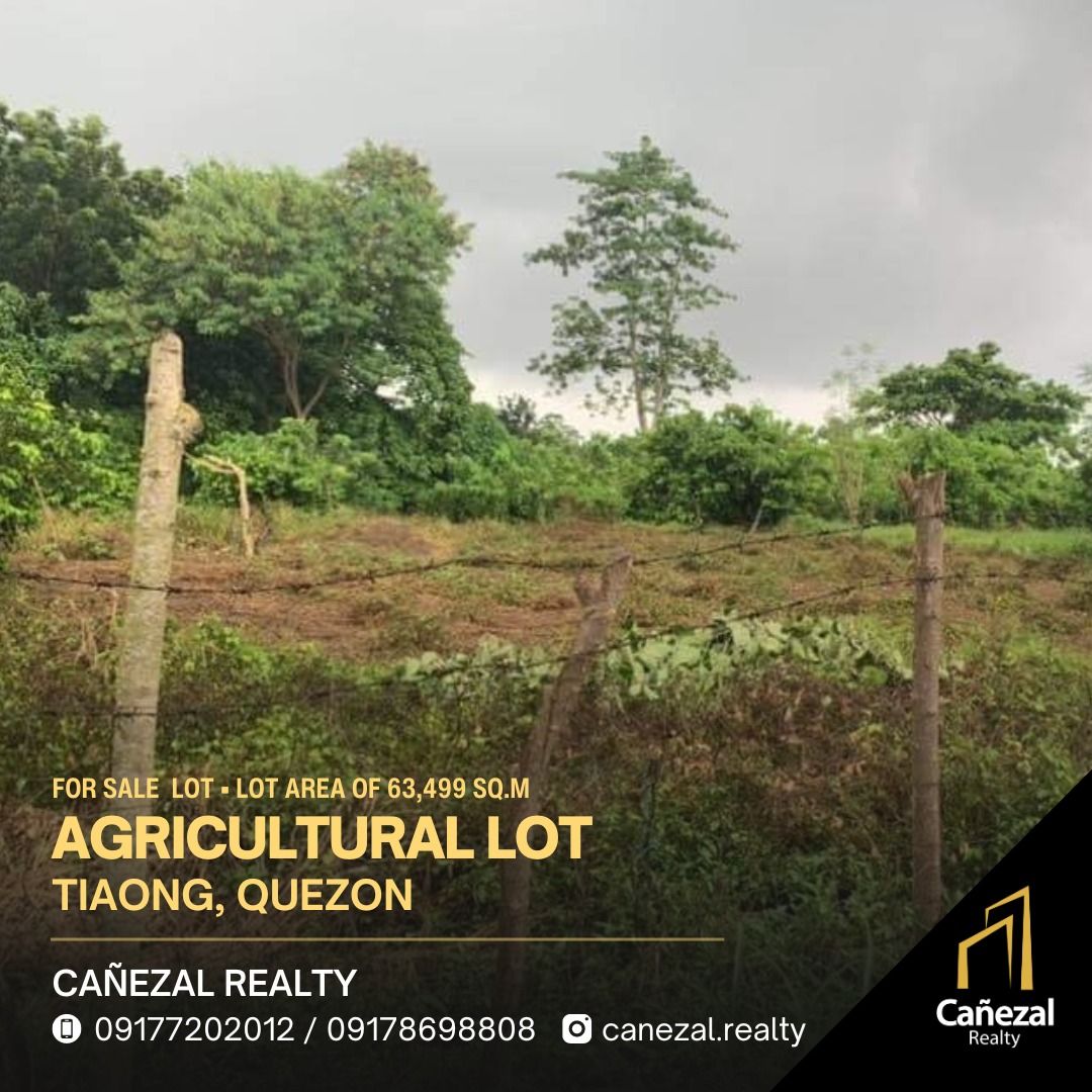Tiaong Quezon Agricultural Land For Sale, Property, For Sale, Lot on