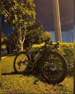 Ion perez bike hotsell price