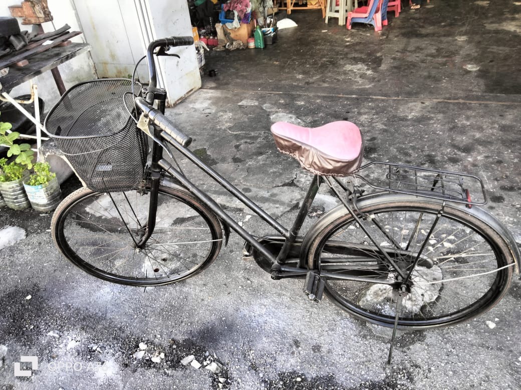 Old model online ladies cycle