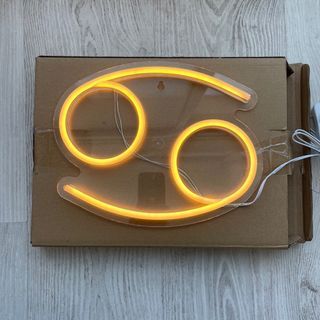 Zodiac neon light