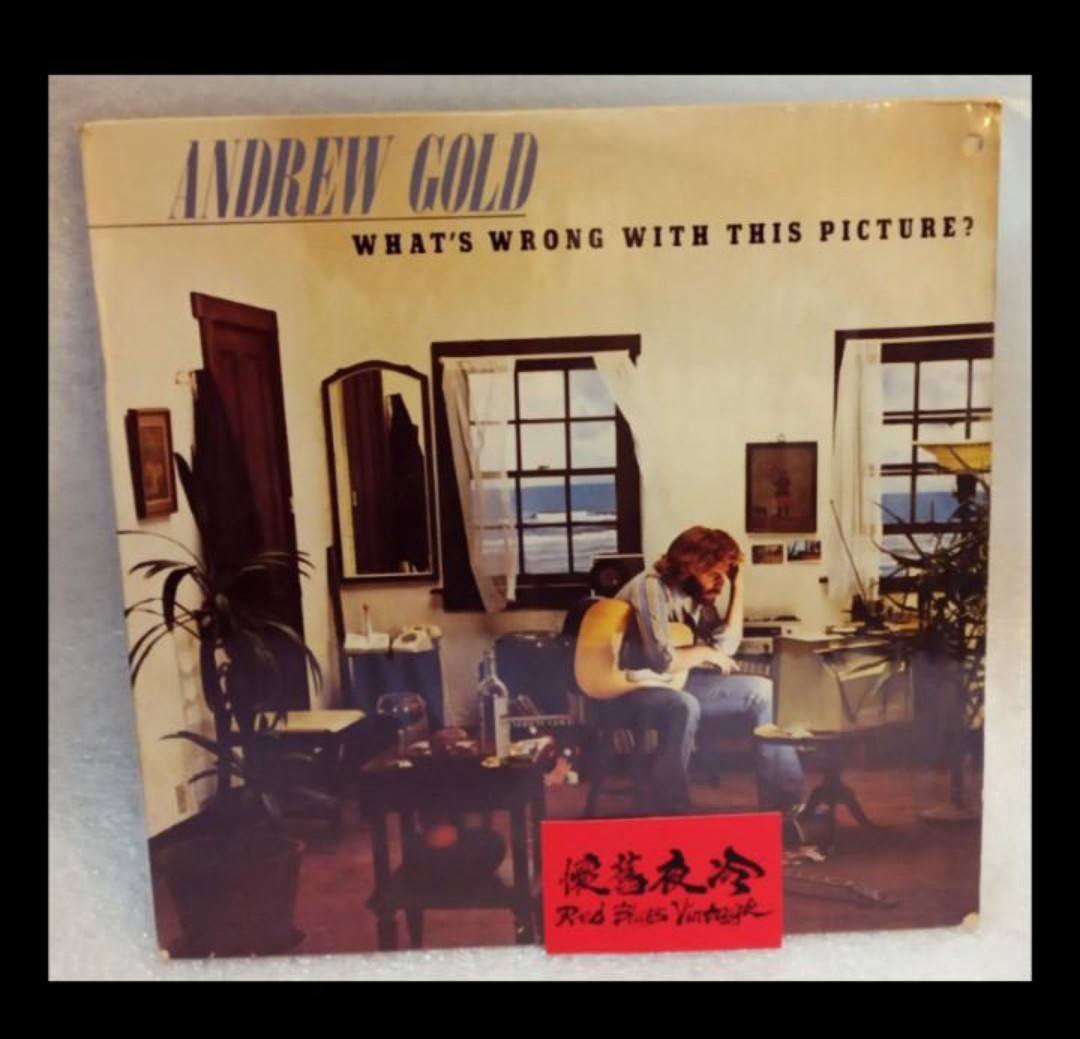 絕版 珍藏 1976年印製 47年前 舊版 美國版 Andrew Gold Whats Wrong With This Picture