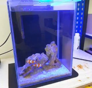 (Category: ) located in . Submitted by farisyu90 (Listing ID 1245380934, Image 1). Description: .