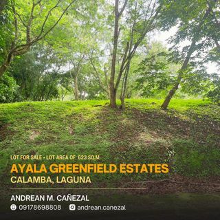 AYALA GREENFIELD ESTATES RESIDENTIAL LOT 