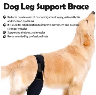 Dog leg support brace with strap for pet injury/leg rehab