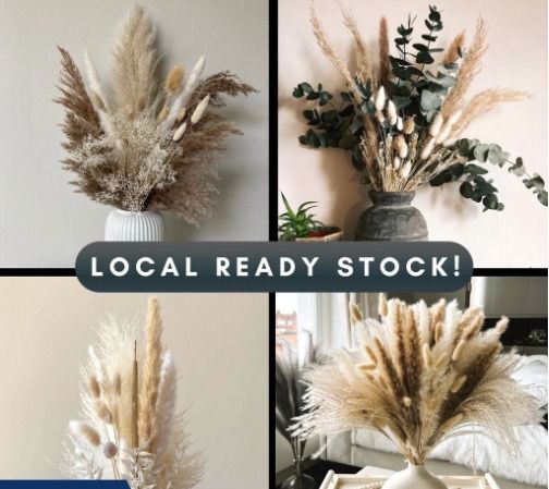 Dried Pampas Grass Reeds Plumes 140 cm Decorative Feathers Flower  Arrangement