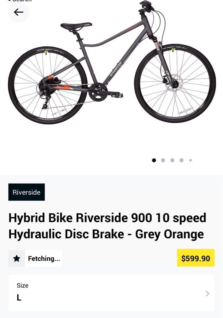 Hybrid Bike Riverside 900 10 Speed, Sports Equipment, Bicycles & Parts