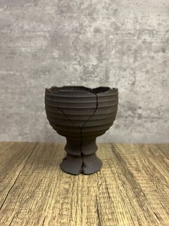 （分類：）位於 。 由 caudexman 提交（商品編號 1245257221，圖片 1）。簡介： 。