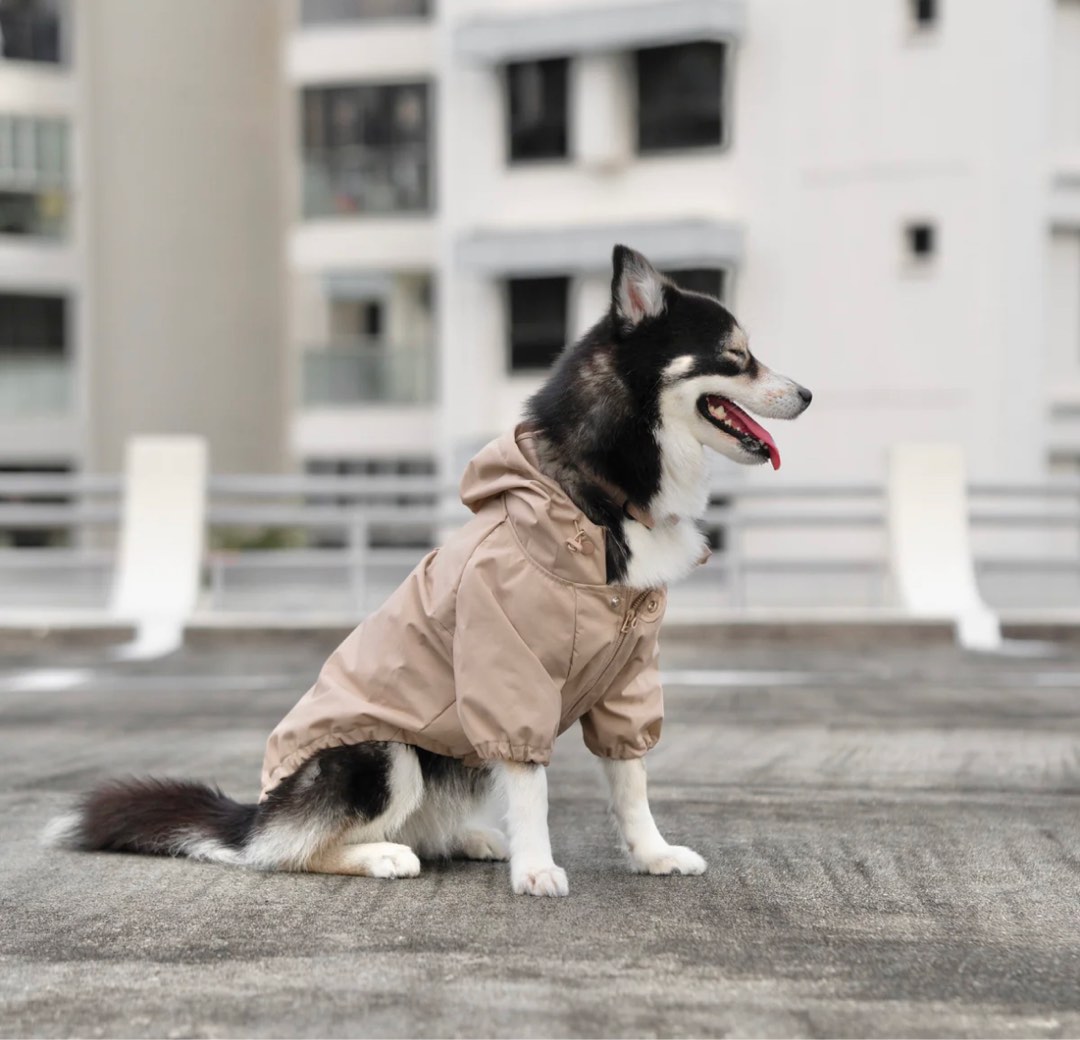 Xl discount dog raincoat