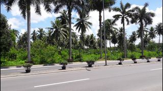 Lot For Sale 2.5 Hectares Along National Highway (Canocotan, Tagum City) near Davao City (OPEN TO REAL ESTATE AGENTS) !!!
