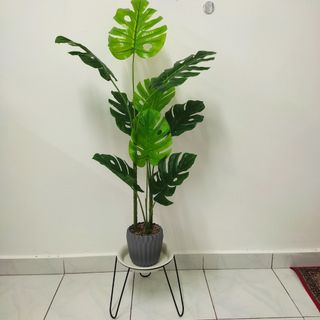 (Category: ) located in . Submitted by ms.shashop (Listing ID 1245309253, Image 1). Description: .