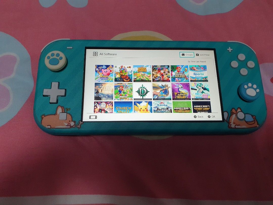 Should you get a switch lite if you sale already have a switch