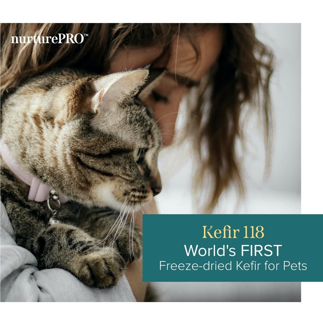 Best kefir 2025 for cats