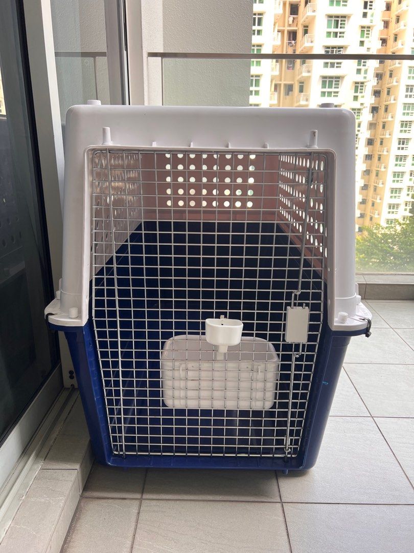 Pet travel crate, Pet Supplies, Homes & Other Pet Accessories on Carousell