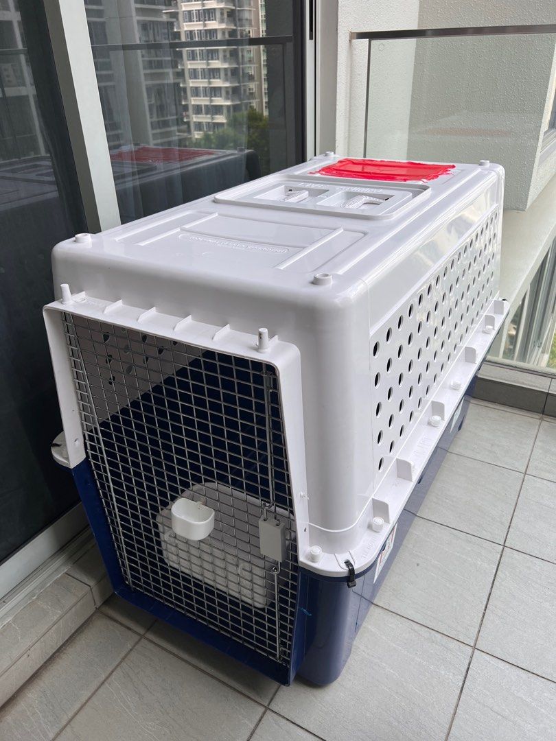 Pet travel crate, Pet Supplies, Homes & Other Pet Accessories on Carousell