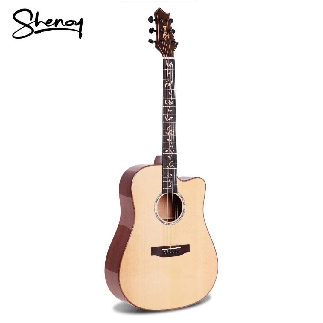Shenoy Acoustic Guitar, Hobbies & Toys, Music & Media, Musical