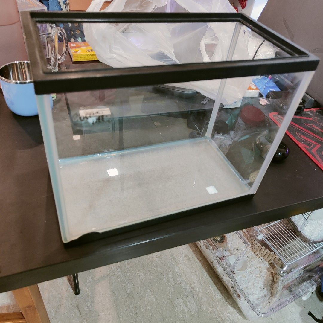 Small Fish Tank without Lid, Pet Supplies, Homes & Other Pet