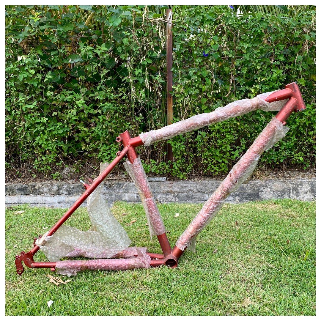 Unbranded outlet bike frames