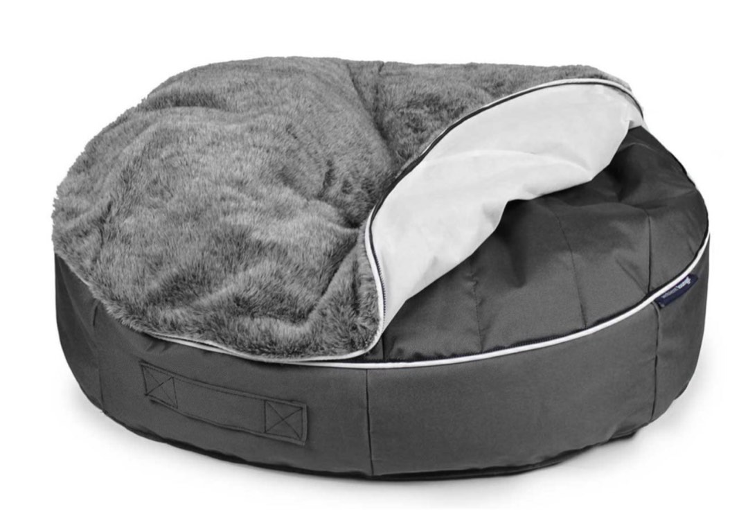 Ambient Lounge Bed (Large), Pet Supplies, Homes & Other Pet Accessories