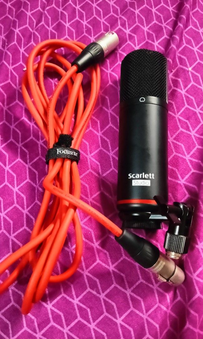 Condenser mic and Studio headphone on Carousell
