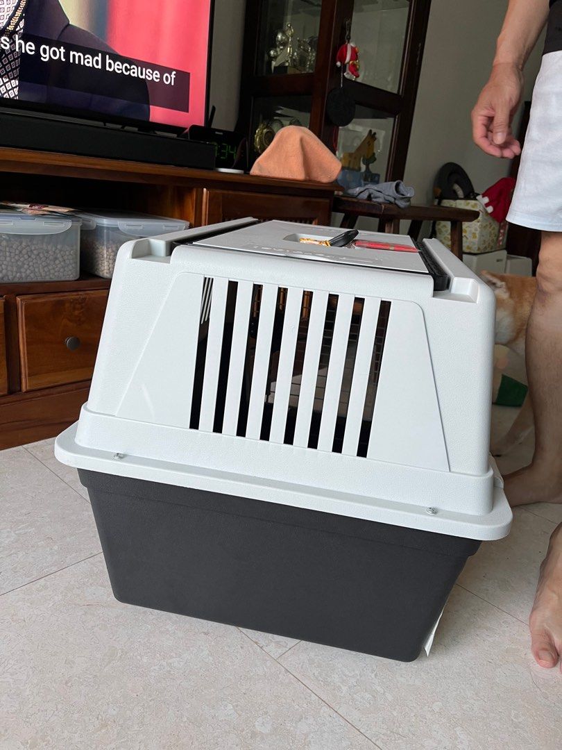 Ferplast Atlas 40 Medium-sized Dog Carrier, Pet Supplies, Homes & Other ...