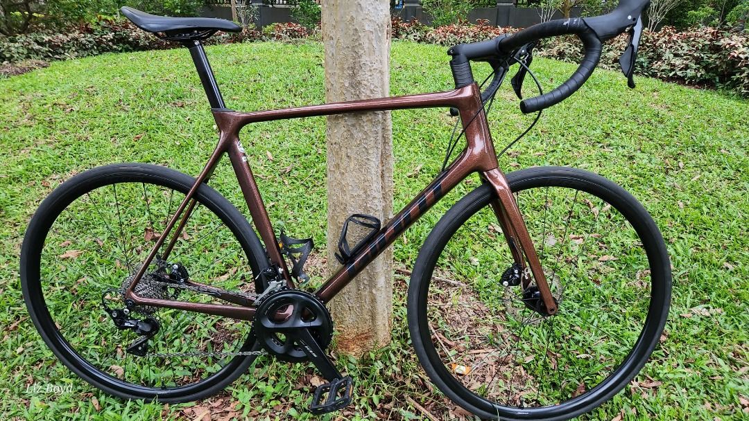 Giant tcr advanced 2 xl hotsell