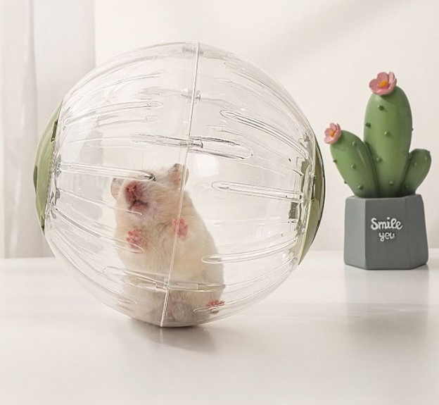 Hamster store plastic ball