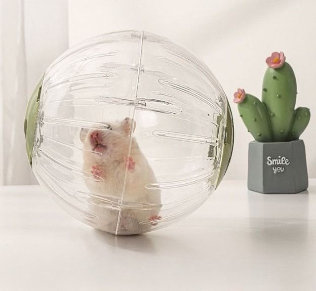 Hamster plastic ball sales