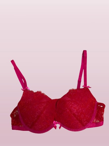 Jessica Simpson Size 34B 34 B Floral Lace Bra Wireless Pink