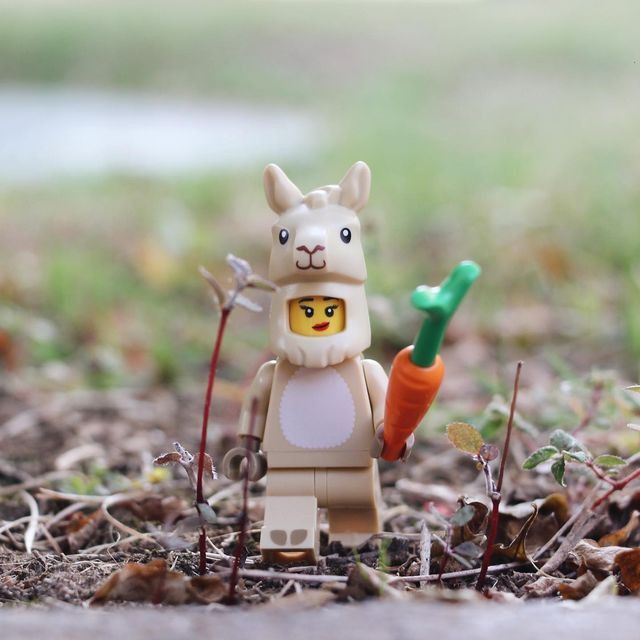 Lego discount llama girl