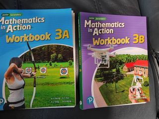 全新 Mathematics in Action Workbook