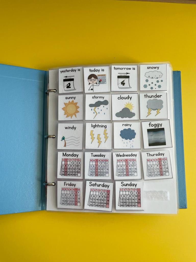 PECS Communication Book, Hobbies & Toys, Books & Magazines, Textbooks ...
